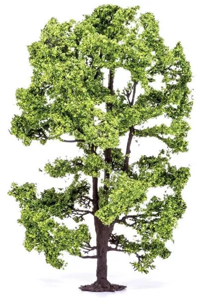 R7217 Acacia Tree